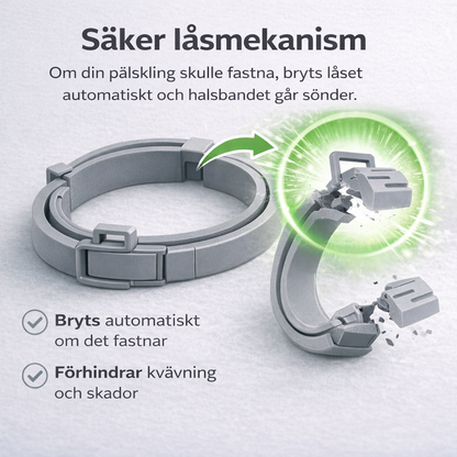 ScandiProtect™ - Slipp fästingar utan kemikalier och skydda din hund & katt hela säsongen