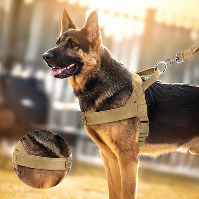 ScandiLead™ -Slipp drag i kopplet och få lugnare promenader utan belastning på halsen