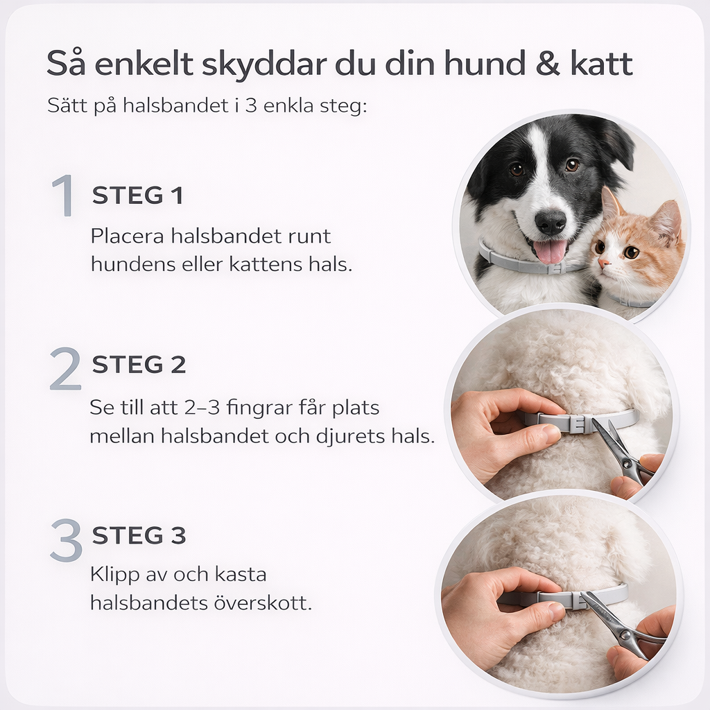 ScandiProtect™ - Slipp fästingar utan kemikalier och skydda din hund & katt hela säsongen