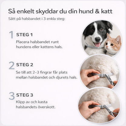 ScandiProtect™ - Slipp fästingar utan kemikalier och skydda din hund & katt hela säsongen