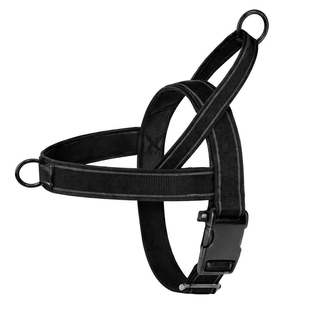 ScandiLead™ -Slipp drag i kopplet och få lugnare promenader utan belastning på halsen