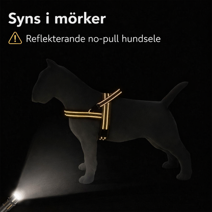 ScandiLead™ -Slipp drag i kopplet och få lugnare promenader utan belastning på halsen