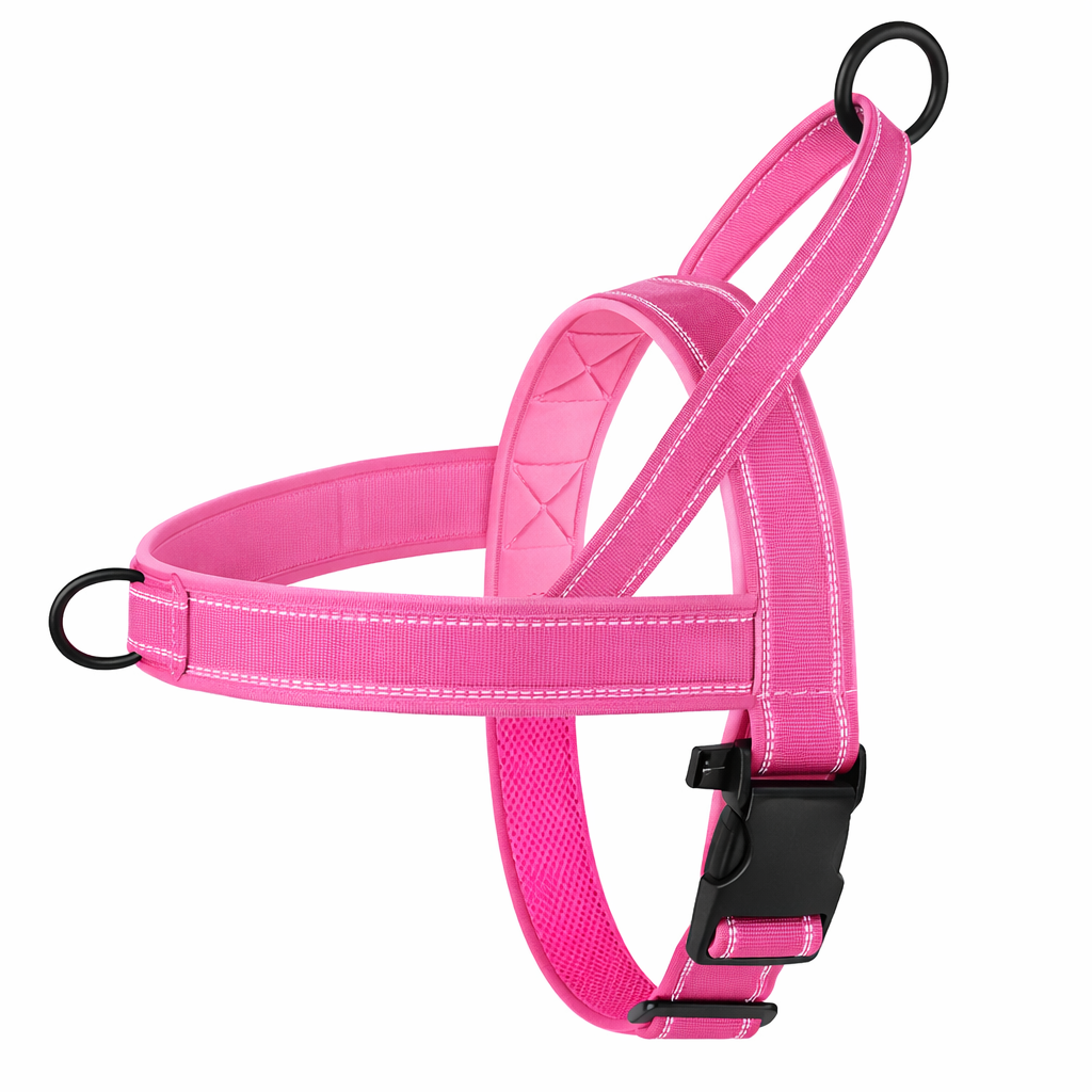 ScandiLead™ -Slipp drag i kopplet och få lugnare promenader utan belastning på halsen