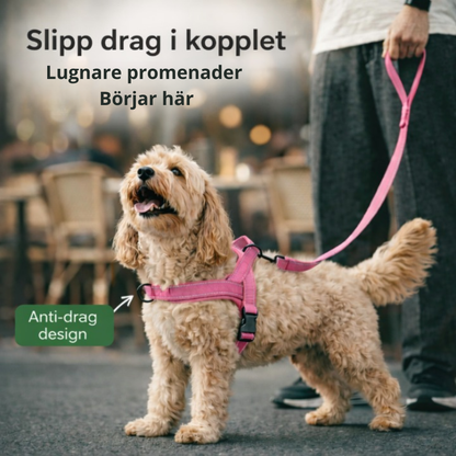 ScandiLead™ -Slipp drag i kopplet och få lugnare promenader utan belastning på halsen