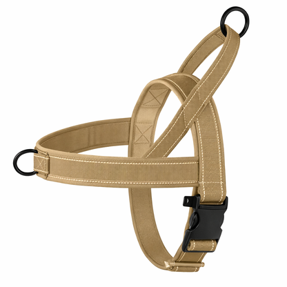 ScandiLead™ -Slipp drag i kopplet och få lugnare promenader utan belastning på halsen