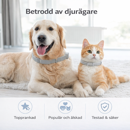 ScandiProtect™ - Slipp fästingar utan kemikalier och skydda din hund & katt hela säsongen